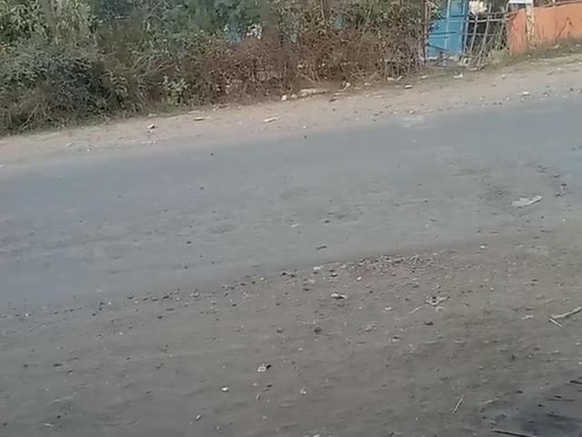 kutte ko takkar mari sadak par