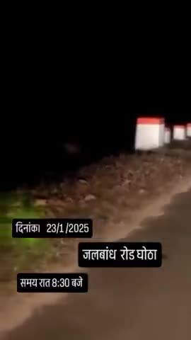 बाघ आ गया खैरागढ़ में जालबंध रोड घोटा ग्राम