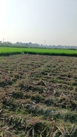 Sultanpur ghato Samastipur