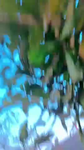 लखीमपुर खीरी: Aankhon mein tere sapne hothon per Teri #viral #public #publicvideo #trending #vikaskumar #Lalhempur