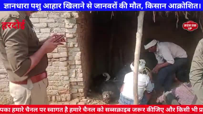 ज्ञानधारा पशु आहार खिलाने से जानवरों की मौत, किसान आक्रोशित।