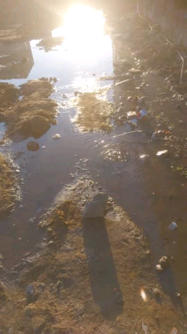 thekadar dwara lapervahi