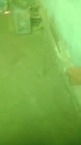 # pakshi maar Diya jaaye ki chhod Diya jaaye Bata tere sath kya saluk kiya jaaye