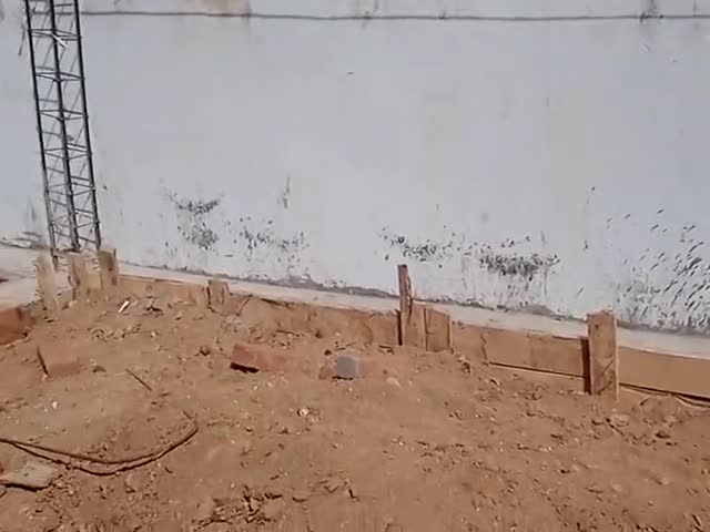 bhai bhai mai ladai madhupur thana mai report darj