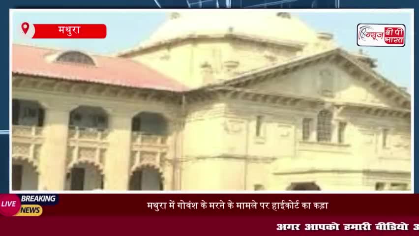 मथुरा में गोवंश के मरने के मामले पर हाईकोर्ट का कड़ा रुख, 3 मार्च तक रिपोर्ट पेश करने का दिया आदेश
#मथुरा #गोवंश