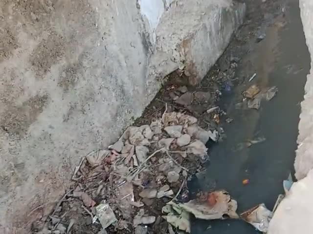 3 nabar wad ki nali ka ye hal he
koi b saf karne nahi aata or nali me Pani gandgi hone se machhar bi ho gye koi nhi aata