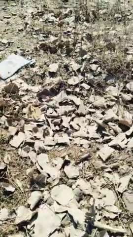 कांटाफोड़ थाने के अंतर्गत आता है अर्जुन इवने एक जयेश पार्टी से हैं नयापुरा घाटी का रहने वाला है गौ माता की तस्करी करताहै