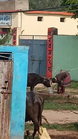 bhadoul jila datiya  Idaregad ke pas Bhad