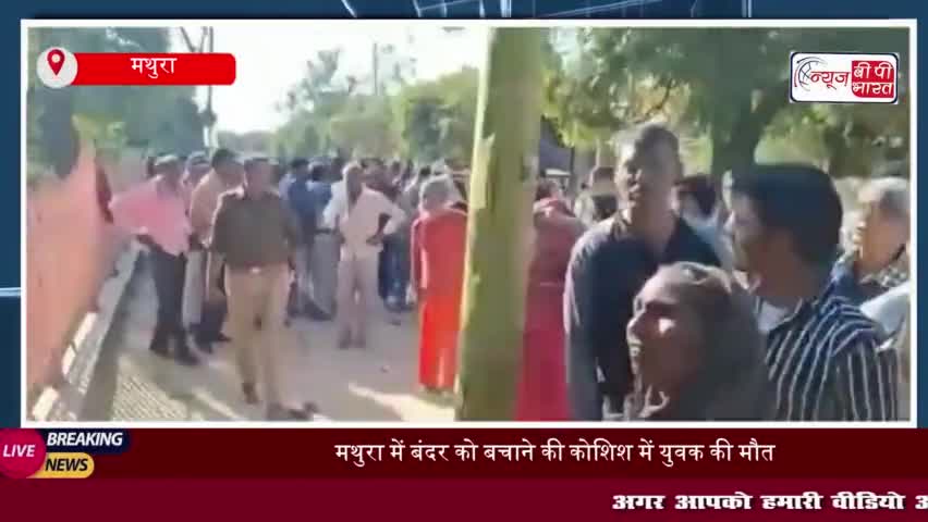 मथुरा में बंदर को बचाने की कोशिश में युवक की मौत, गुस्साए लोगों ने किया हंगामा 
#मथुरा #बंदर