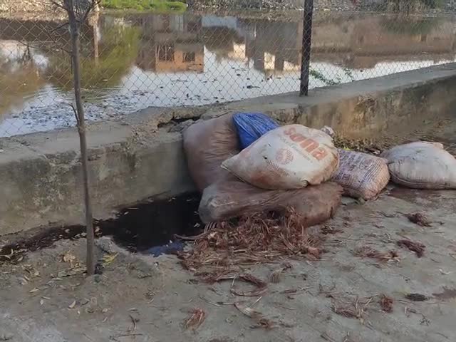 धन्ना तलाई बन रही कचरा दान 😷 #tonk #nagarparishad