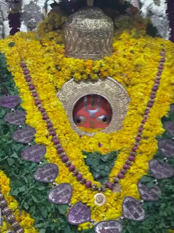🌺🌻🌻
*#श्री_हनुमान_जी_महाराज जी की प्रातः कालीन शुभ मंगला श्रृंगार आरती दर्शन*🌺 _*#श्री_हनुमानगढ़ी_अयोध्याधामजी।।*_ 🌺🌻 दिनांक~ 25/02/2025 दिन मंगलवार🌻🌺 श्री हनुमान जी महाराज सबके सकल मनोरथ सिद्ध करें।।🌺🌻
     🌺जय बजरंगबली।🌺