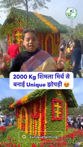 Shimla mirch se ghar bana diya hai #amezing #viral #video #2025