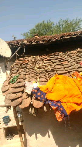 Rakhwala Raj Jila Satna Madhya Pradesh MP Nagaur 
10 number ward secretary Sarpanch Ki Nahin ho rahi Yahan per