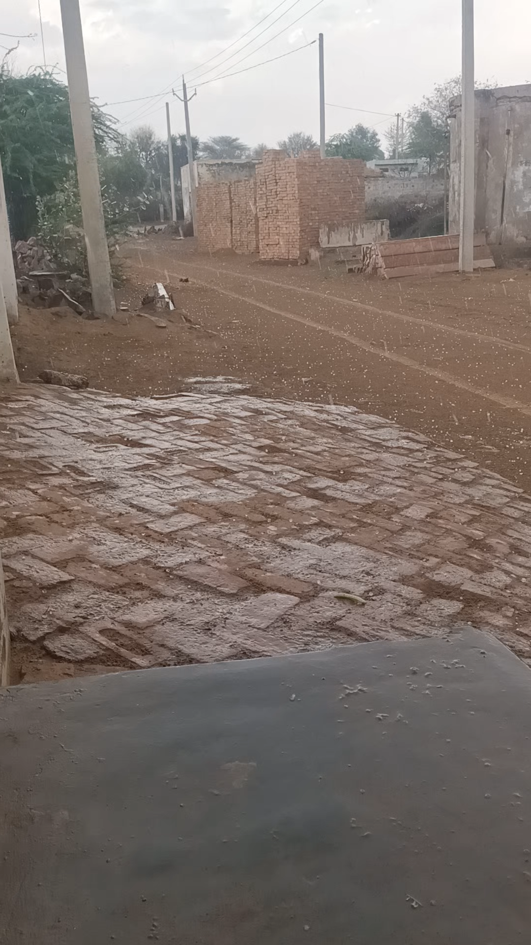 गांव कांगड़ में ओलावृष्टि हुई है