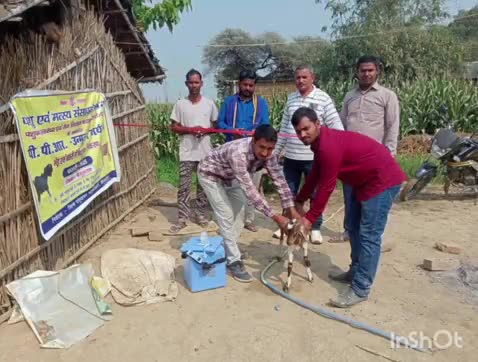 शाम्हो अकहा कुरहा: सलहा सैदपुर बरारी पंचायत एक से बकरियों को टीका लगाने की हुई शुरूआत #स्वास्थ्य