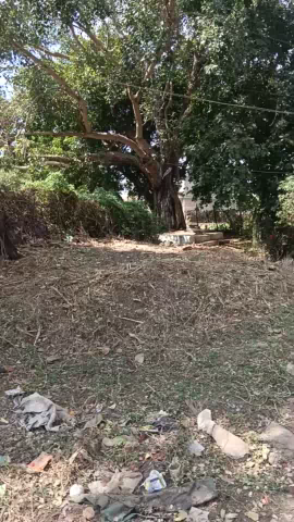 मुरारिया से संजीव धाकड़ की रिपोर्ट