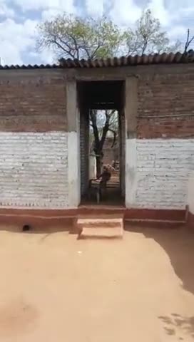 ग्राम निबेरी मैं गीताबाई सहरिया की कुटी की किस्त रुकी हुई है मुकेश सेक्रेटरी ₹10000 ले रहा है कलेक्टर महोदय से निवेदन है