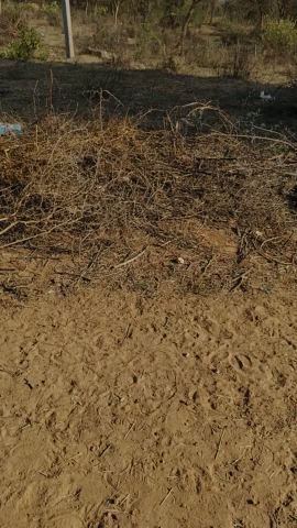 Panchayat samiti masalpur ke gram Panchayat khediya ke gaon patiyala ka pura Majra Manda Kheda mein kiya dabang ne takra