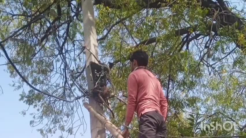 जानिए 132 केवी उपकेंद्र जामुनिया चाचौड़ा पर मेंटिनेंस का कार्य होने के चलते विधुत किस तारीख मे कितने घंटे रहेगी बाधित