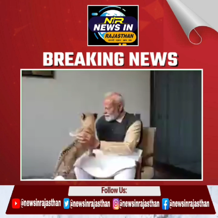 #शेर की गोद में शेर मोदी ने शेर के बच्चों के साथ बिताया समय #modi #मोदी #news #दिल्ली #गुजरात