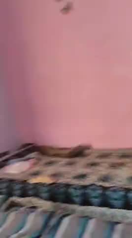 आईप्लस आई केयर का जबरदस्त रिजल्ट अधिक जानकारी के लिए संपर्क करें 7891626757 चूरू रतनगढ़ सरदार सर सीकर बीकानेर नागौर नोखा