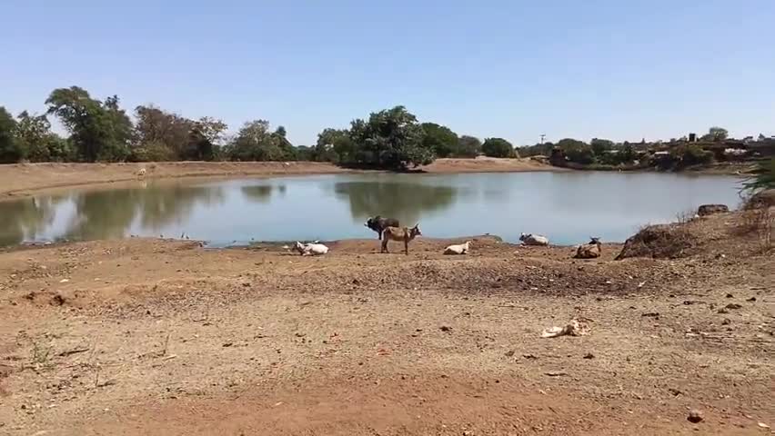 ग्राम मुरारिया में दो दशक पूर्व तालाब  कि हुई भूमि पूजन आज तक नहीं हुआ निर्माण कार्य