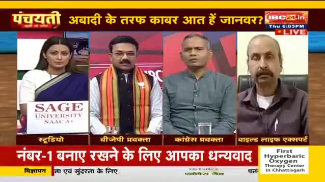 #हाथी  #भालू #तेंदुआ  #जंगली_जानवर #आमने_सामने IBC - 1 #छत्तीसगढ़ #Chhattisgarh #chhattisgarhnews