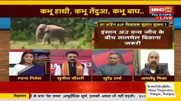 #हाथी  #भालू #तेंदुआ  #जंगली_जानवर #आमने_सामने IBC - 3 #छत्तीसगढ़ #Chhattisgarh #ChhattisgarhNews