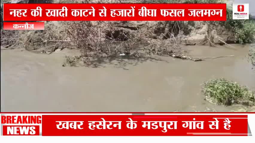 कन्नौज : हसेरन के मडपुरा में नहर काटने से हजारों बीघा फसल हुई बर्बाद #पानी #फसल