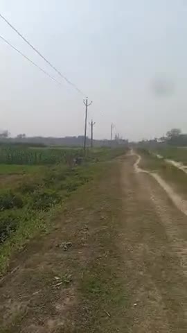 बीती रात रानी पट्टी नहर पर डहरिया नई संचरण लाइन को अज्ञात चोरों द्वारा काट कर चोरी कर लिया गया है,