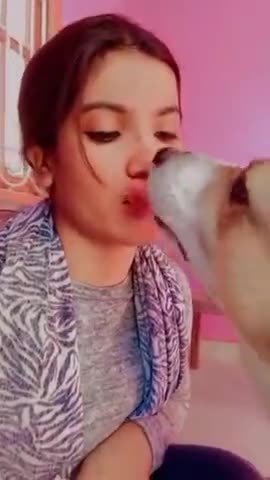 #virl# reels trending videos reels