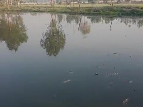 Huyaaa नुकसान talab mein