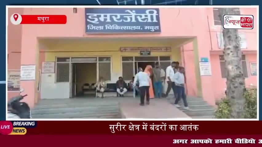 सुरीर क्षेत्र में बंदरों का आतंक, ग्रामीणों ने तहरीर देकर की कार्रवाई की मांग
#सुरीर #क्षेत्र #बंदरों #आतंक