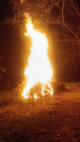 fakuli panchyat kahai ye video fakuli