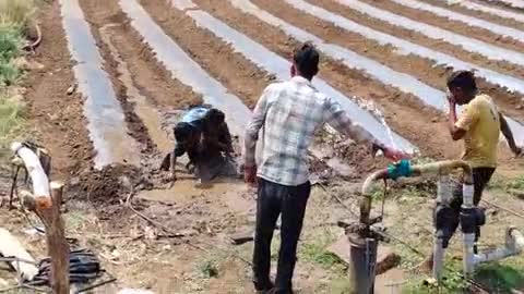 ग्राम  पथरोई में दो युवक के बीच में होली का माहौल बना खेत पर