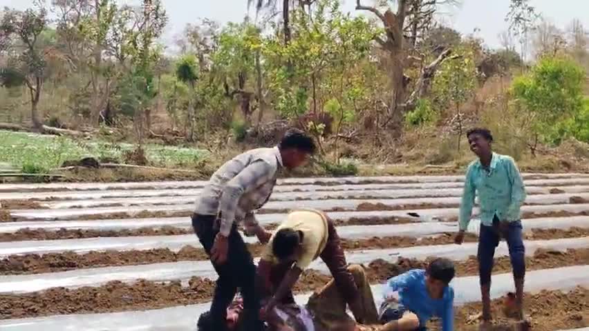 ग्राम  पथरोई छोटे से गांव में बना होली का माहौल पांच युवक के बीच में होली में आनंद लेने लगे