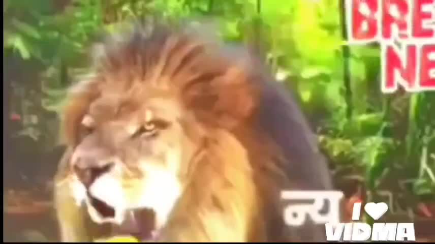 राष्ट्रीय पत्रकार सुरक्षा परिषद जौनपुर के मड़ियाहूं तहसील इकाई के अध्यक्ष बने रवि सिन्हा