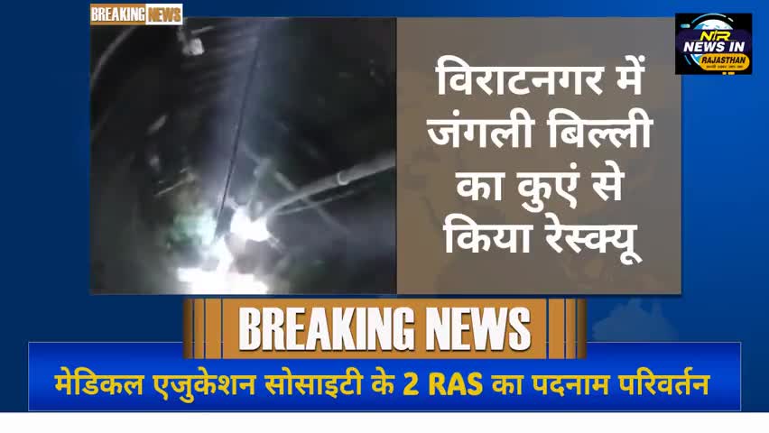 #विराटनगर में जंगली बिल्ली का कुएं से किया रेस्क्यू।।70 फीट गहरे कुएं में जा गिरी थी जंगली बिल्ली #जयपुर #news