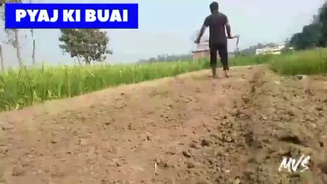 why Indian farmer #farmer #faridabad #tigaon #ballabhgarh #delhi #delhincr #bata #dabua #gorakhpur #bansgaon #gola #mau