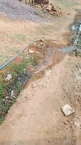 Baldevgarh ke chandooli gao me naliyo ki nhi ho rhi safai logo ko nikalne me dikkat ✅✅#baldevgarh#chandooli#tikamgarh#
