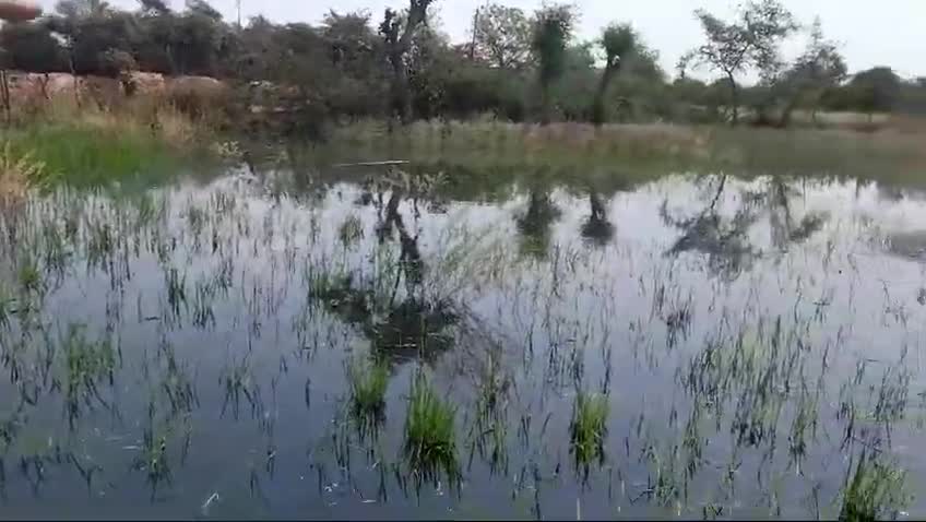 mata maha kali ground sharma kaloni gosalpur