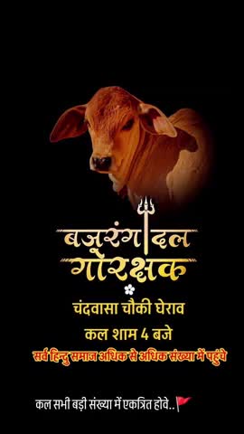 चंदवासा 
#narendra singh bardiya uncha 
chandwasa me go vansha sir kata Mila chandwasa me 16/3/2025 ko mila narendar Sin