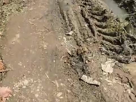 दो आलमपुर तहसील मीरगंज जिला बरेली शाही थाना 
प्रधान जो है रोड नहीं परवाराहा