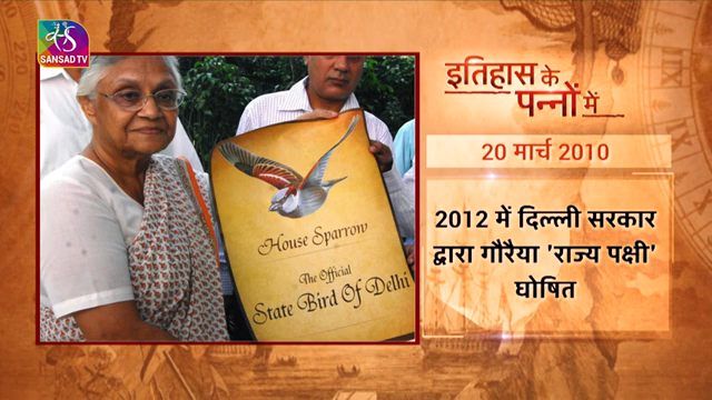 Sansad tv  विश्व गौरैया दिवस #faridabad #फरीदाबाद #bird #ballabhgarh #delhi #ncr #palwal #india #bansgaon #gola #mau