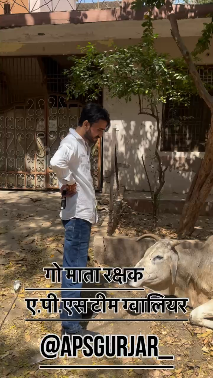 पोस्टमार्डम पानी की जांच सभी की जांच हो चुकी हे जल्दी रिपोर्ट्स आप के सामने होगी जो आरोपी होगा उसको कड़ी से कड़ी सजा दिलाई जाएगी 🙏🏻
#apsgurjar #cow #rip #gwalior #news