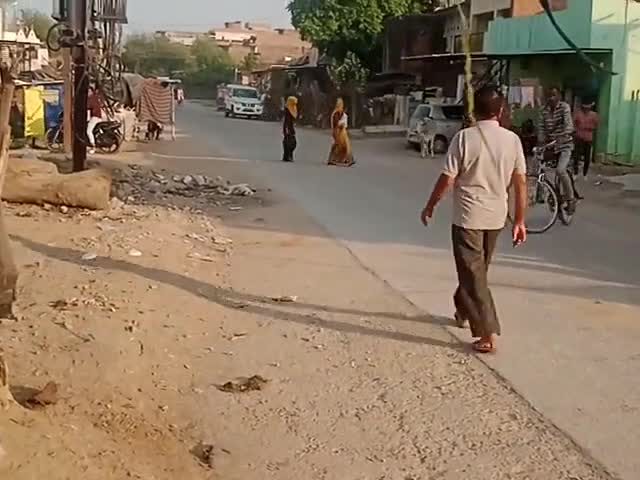 बघेड़ी में कुत्ते की मौत