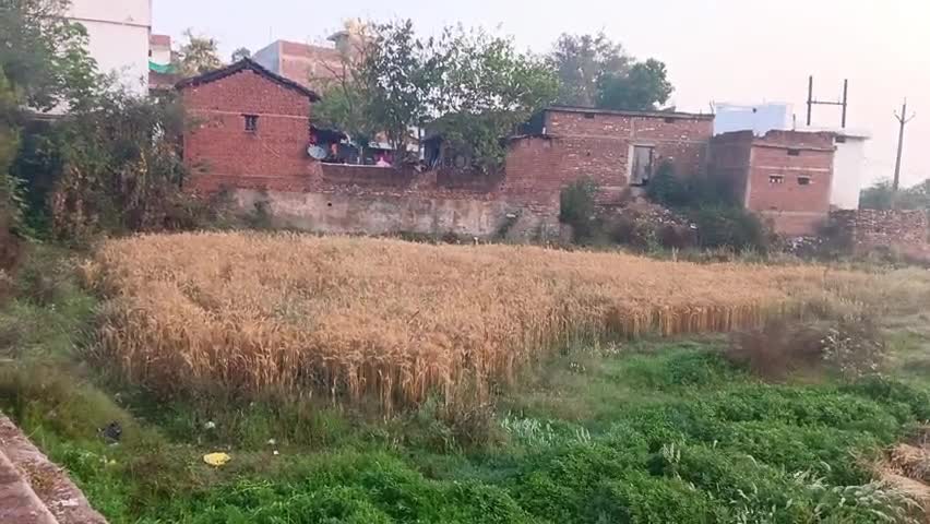 Barish se hu fasal barbad