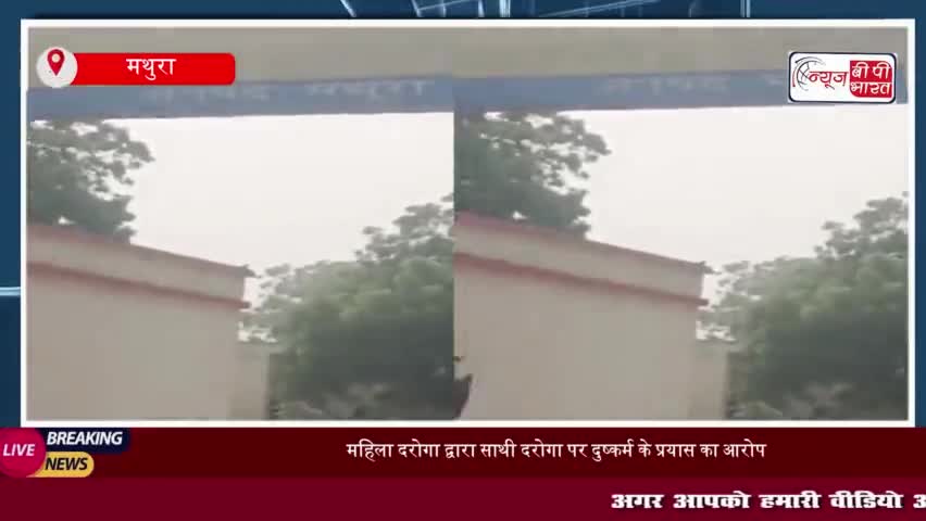 Mathura News: एसएसपी ने महिला दरोगा से जुड़े मामले की जांच महिला सीओ को सौंपी
#Mathura #News #एसएसपी #महिला #दरोगा