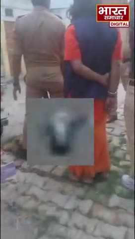 लखनऊ के प्राचीन हनुमान मंदिर मदेयगंज | गौवंश का मिला सर #lucknow #gorakhpur #uttarpradesh #viral #national #bansgaon