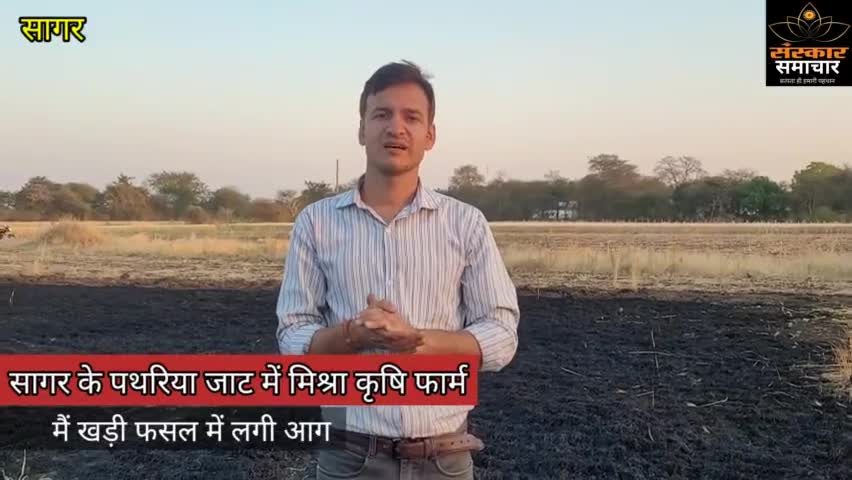 सागर की इस जगह किसान की खड़ी फसल में लगी आग |sagar
#sagar
#sagarnews
#sagarcity
#mpnews